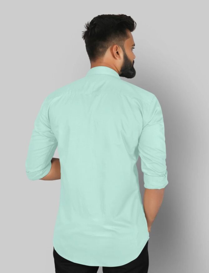 Classic Formal Shirt ( light Green )