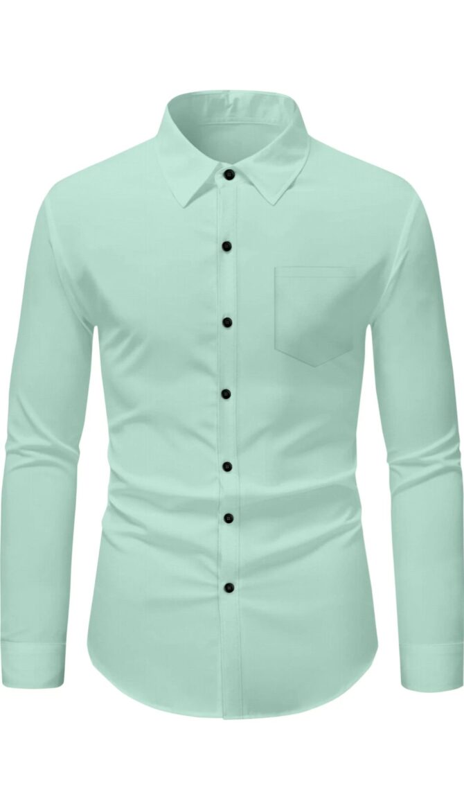 Classic Formal Shirt ( light Green )