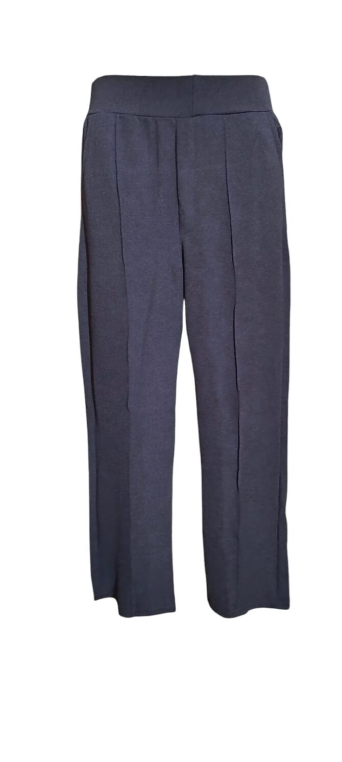 Blue Pleat Pant