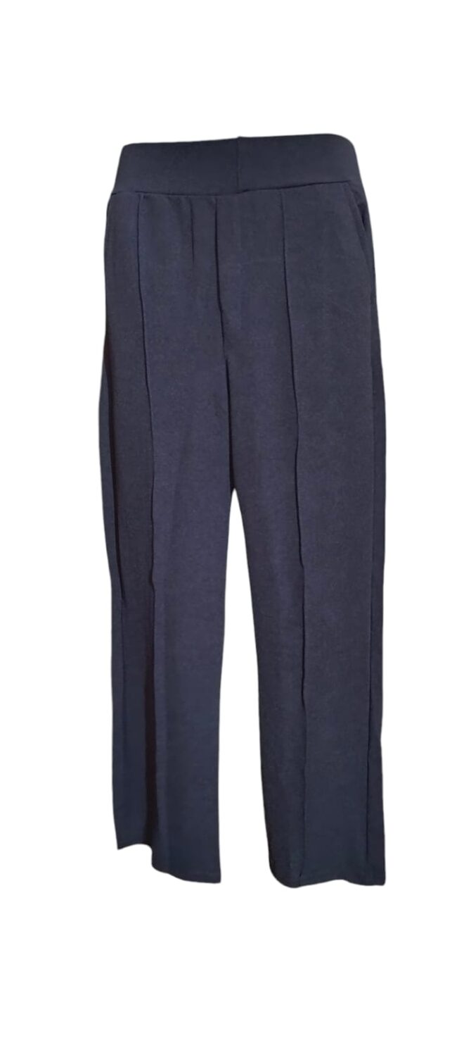 Blue Pleat Pant